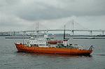 Dcim4078/DSC_7727