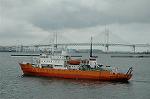 Dcim4078/DSC_7728