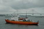 Dcim4078/DSC_7730