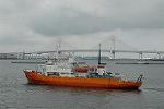 Dcim4079/DSC_8891