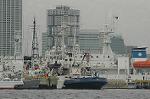 Dcim4091/DSC_8613