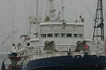 Dcim4094/DSC_8653