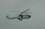 Dcim4096/DSC_8955