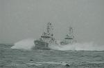 Dcim4096/DSC_9002