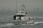Dcim4099/DSC_9341