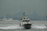 Dcim4101/DSC_9561