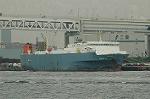 Dcim4103/DSC_9731