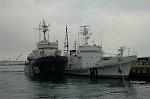 Dcim4103/DSC_9818