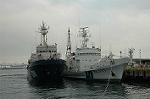 Dcim4103/DSC_9819