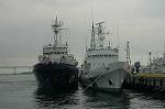 Dcim4103/DSC_9822