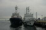 Dcim4103/DSC_9823