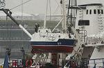 Dcim4104/DSC_1084