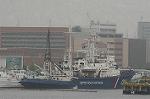 Dcim4104/DSC_1105
