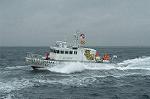 Dcim4106/DSC_1353