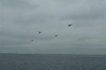 Dcim4109/DSC_1623