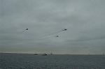 Dcim4109/DSC_1625