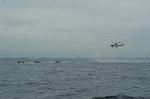 Dcim4109/DSC_1674
