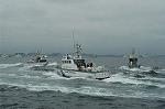 Dcim4109/DSC_1696