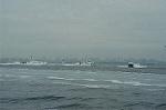 Dcim4110/DSC_1728