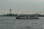 Dcim4111/DSC_1882