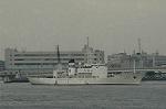 Dcim4111/DSC_1913