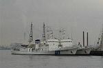 Dcim4111/DSC_1930