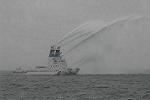 Dcim4113/DSC_9101