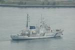 Dcim4116/DSC_9931