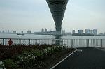 Dcim4117/DSC_0037
