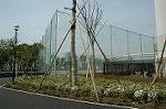 Dcim4117/DSC_0042
