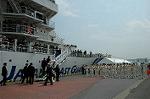 Dcim4124/DSC_0481