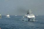Dcim4124/DSC_0541