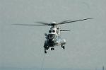 Dcim4133/DSC_1146