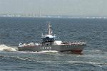 Dcim4138/DSC_9653