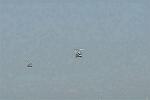 Dcim4138/DSC_9657