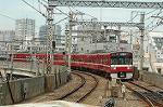Dcim4144/DSC_1733