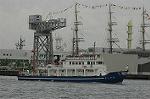 Dcim4148/DSC_2135
