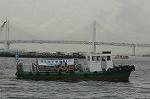 Dcim4148/DSC_2154