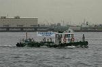 Dcim4148/DSC_2156
