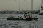 Dcim4148/DSC_2157