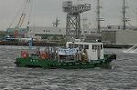 Dcim4148/DSC_2159