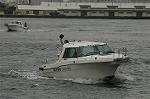 Dcim4148/DSC_2174
