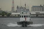 Dcim4149/DSC_2203