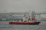 Dcim4149/DSC_2246