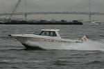 Dcim4149/DSC_2261