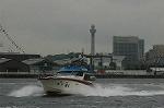 Dcim4150/DSC_2350
