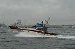 Dcim4151/DSC_2490