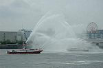 Dcim4153/DSC_2557