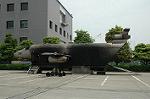 Dcim4153/DSC_2571