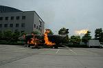 Dcim4153/DSC_2585